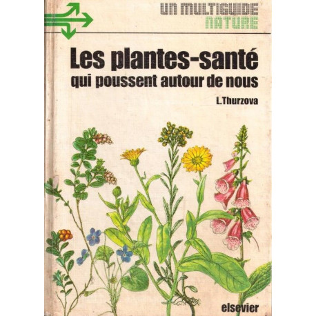 Les plantes-santé qui poussent autour de nous