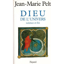 Dieu de l'Univers