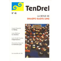 Tendrel n° 46 Le Lodjong