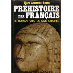 Préhistoire des français - le roman vrai de nos origines