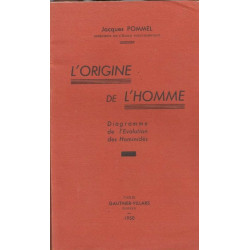 L'origine de l'homme. Diagramme de l'évolution des hominidés -