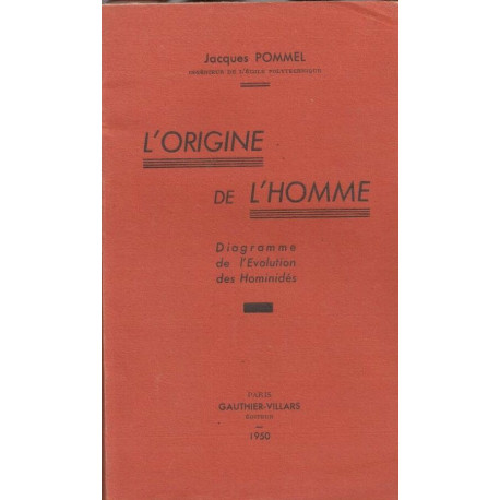 L'origine de l'homme. Diagramme de l'évolution des hominidés -