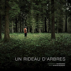 Un rideau d'arbres